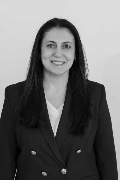 Lawyer Zübeyde Tercan