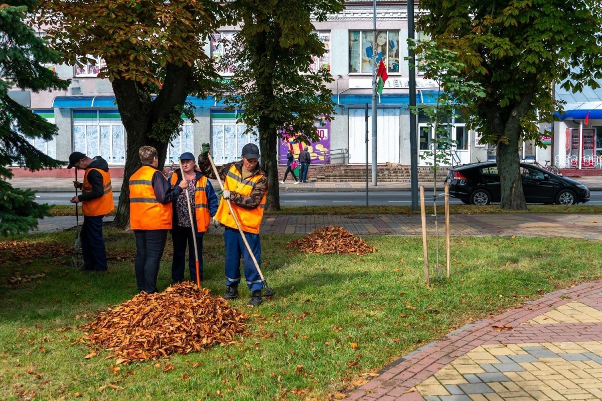 Rights of Municipal Employees